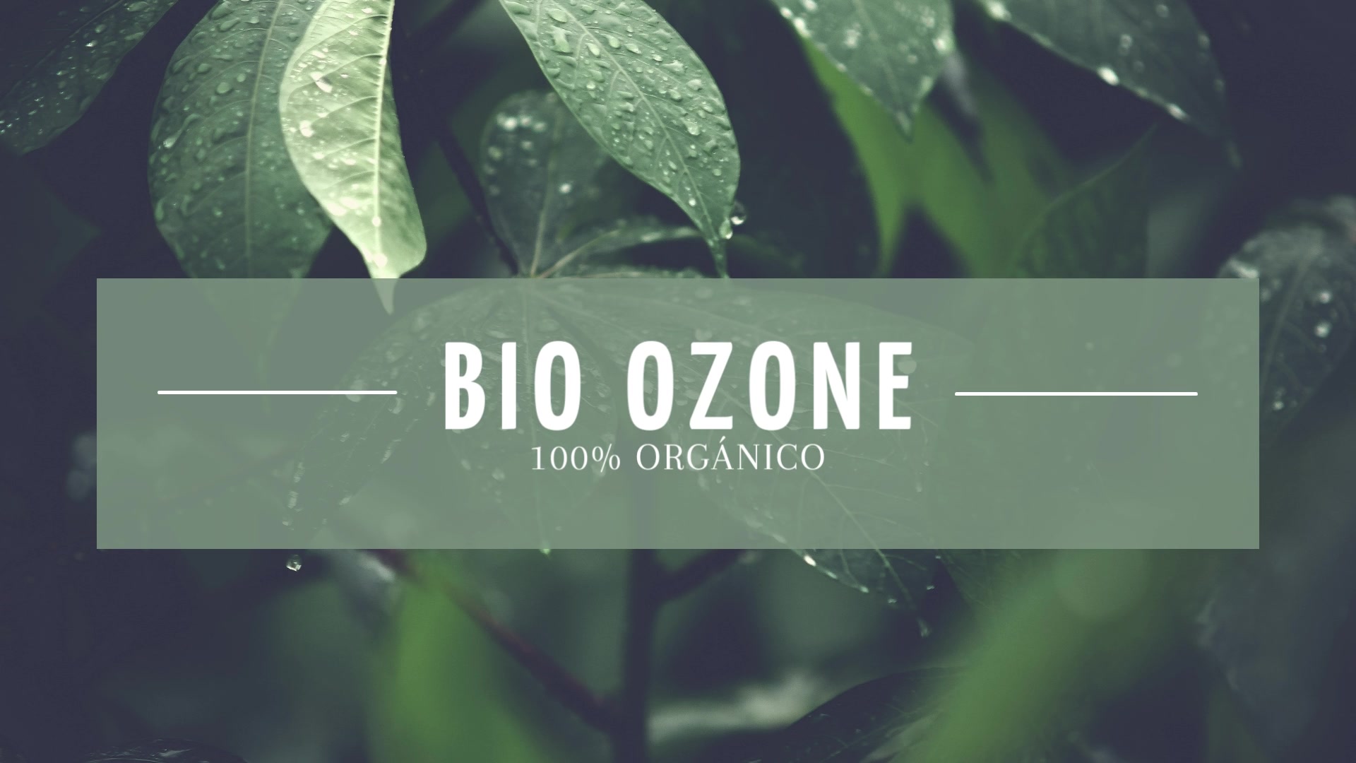 BIO OZONE | La Merced