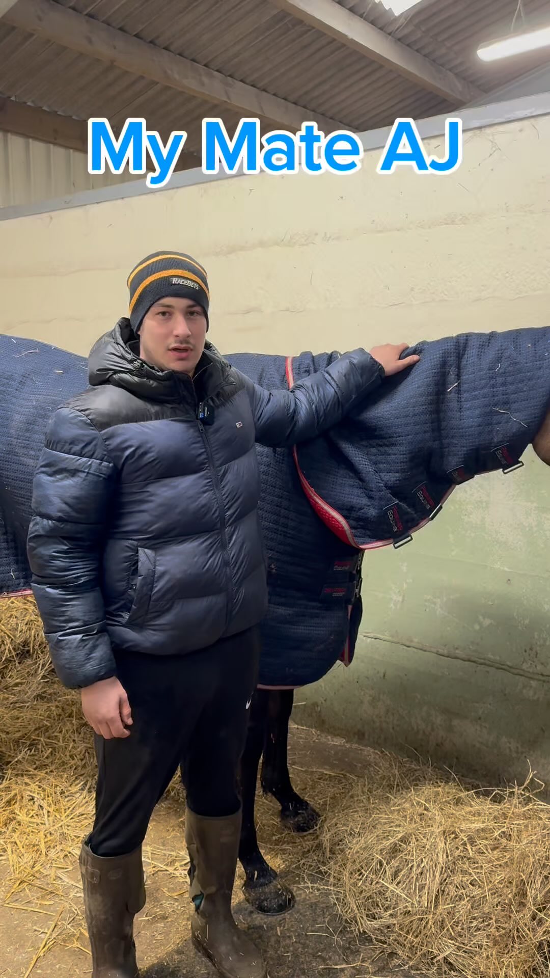 Become a racehorse owner and be part of the journey with the first ever ...