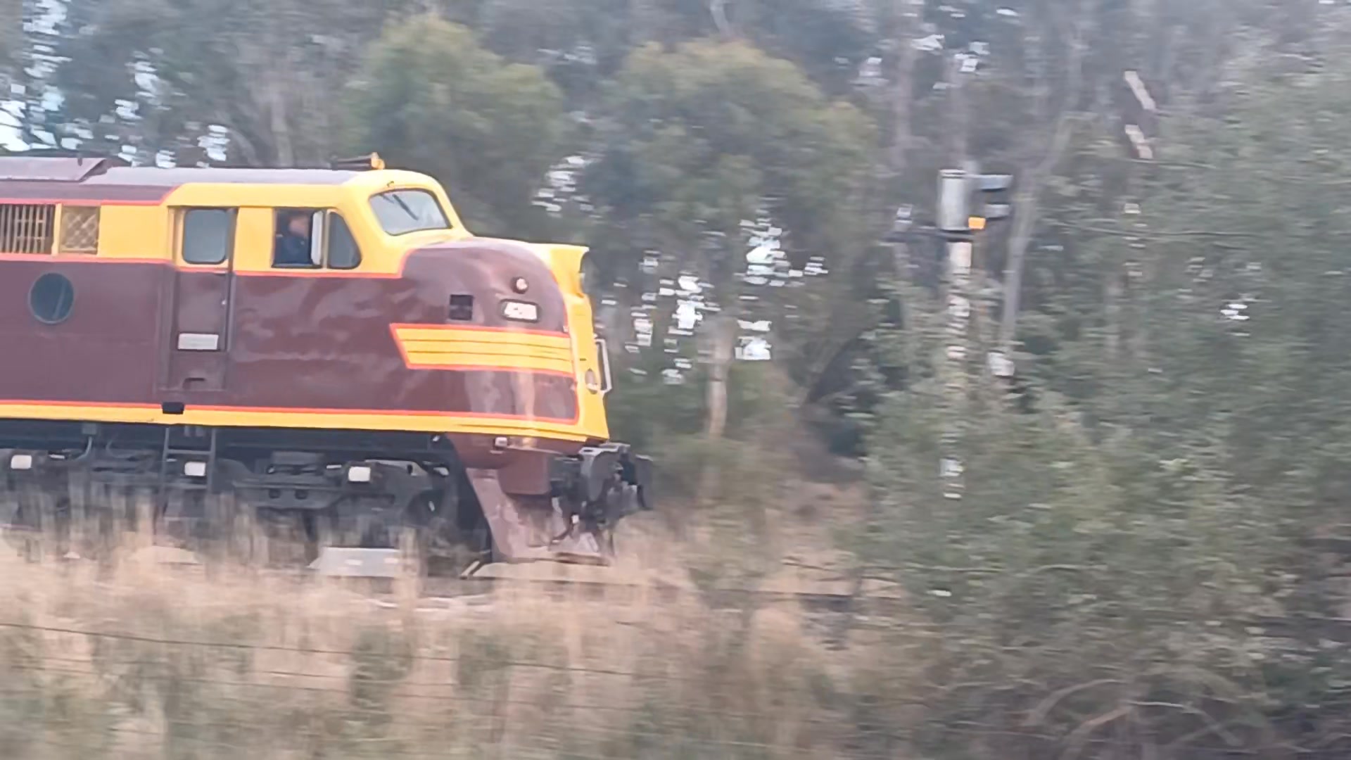 NSW Railways - Past and Present | Picnic Train passing our place 7:27am ...