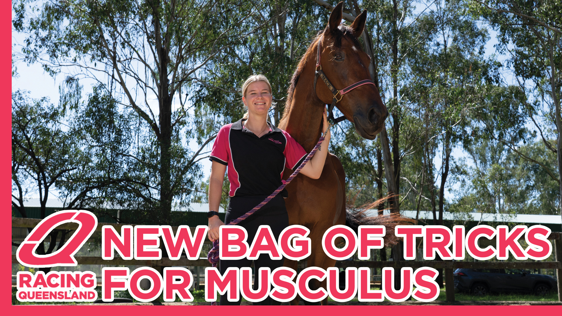 Once a gun on the track, now a trickster in the show ring, it's clear ...