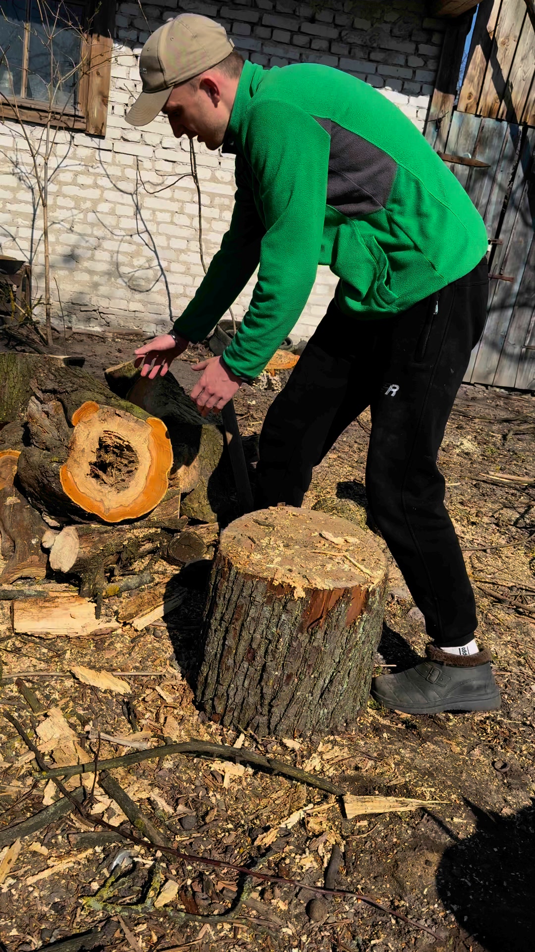 Amazing Dead Tree Log | Work of Work | Facebook