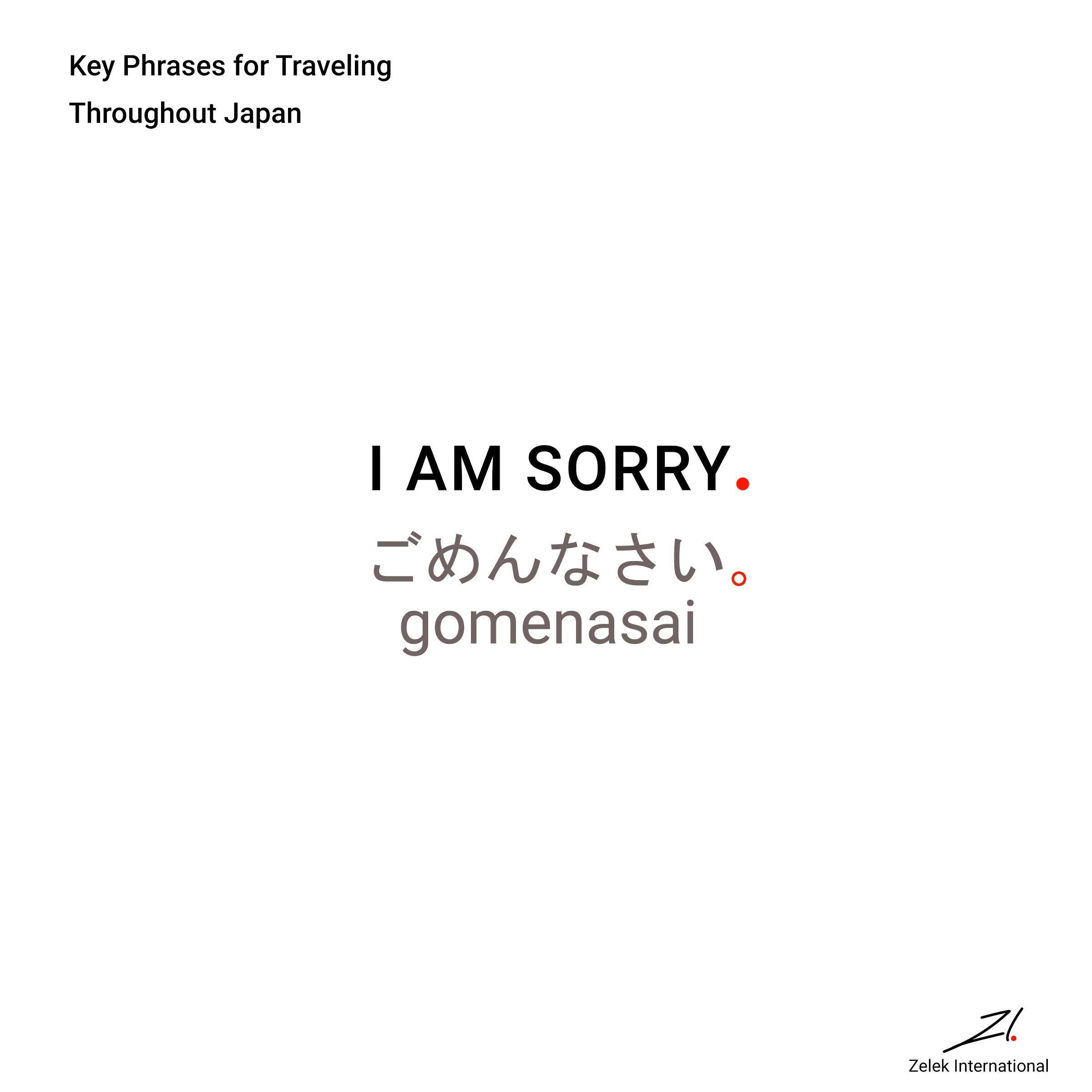 ごめんなさい (gomenasai) is a very polite way of saying sorry