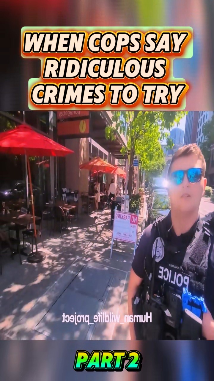 When Cops Say Ridic.ulous Cri.m.es To Try and Vi.o.late Our Rights # ...