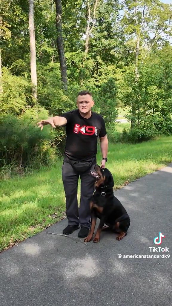 Fox River Rottweilers 
