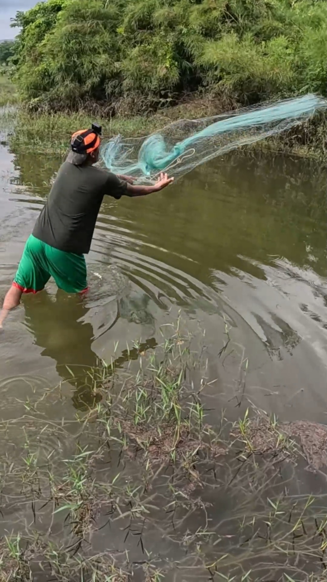 Tecnica perfecta para pescar con tarraya | Pesca y Aventura | Facebook