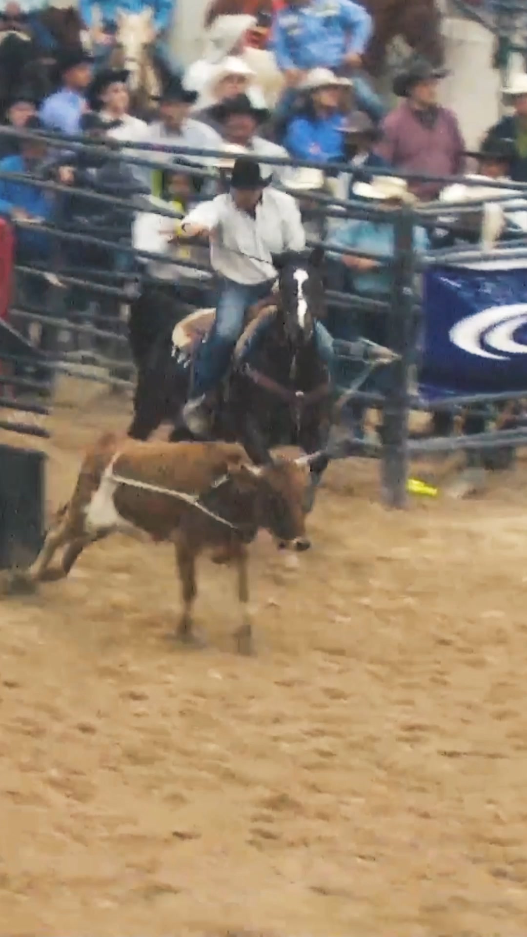 There is only one place to watch the 2024 Indian National Finals Rodeo ...