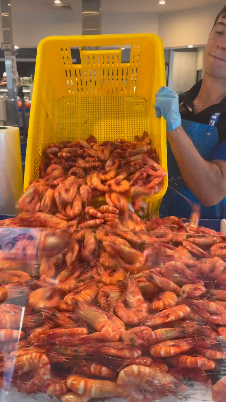 The Fish Factory | Morningside QLD