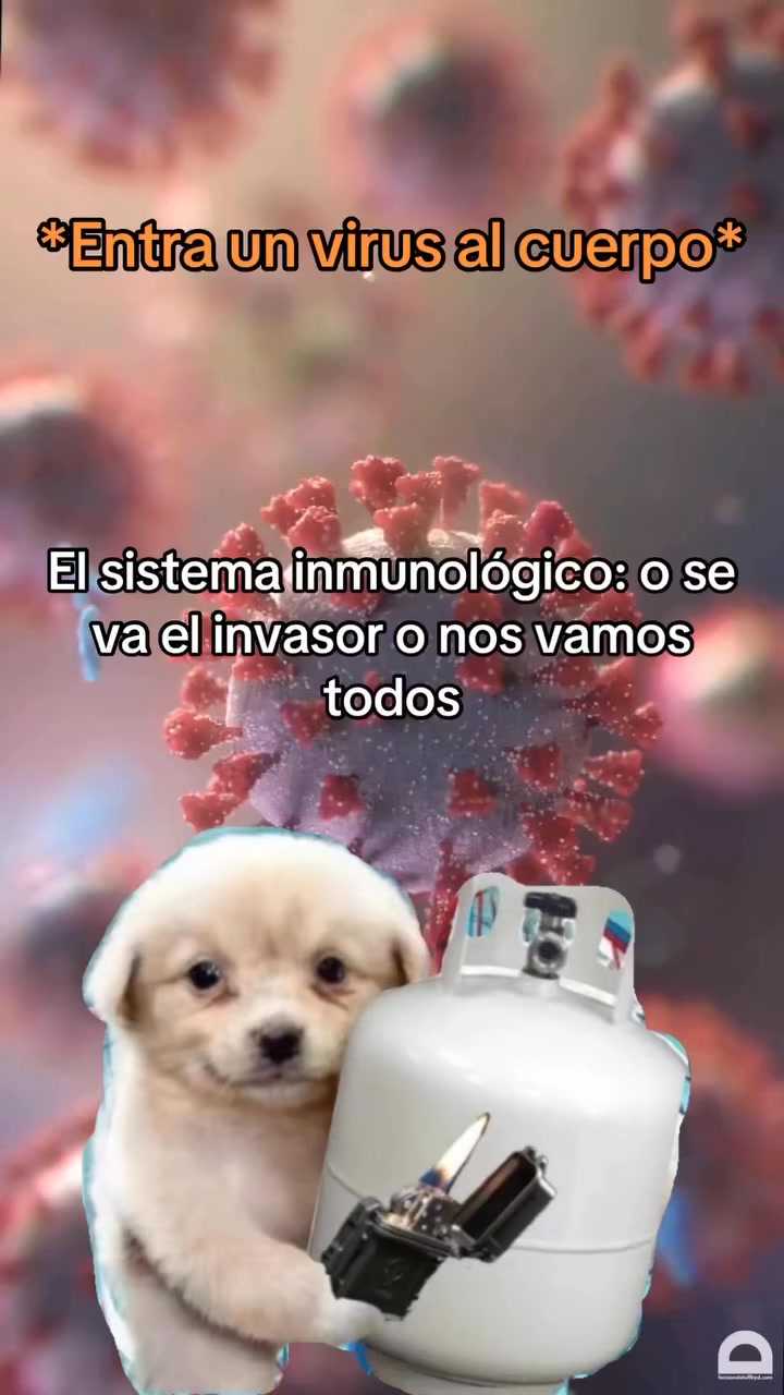 En 2023 nos sorprendíamos (y asustábamos 😅) con el famoso video de Will ...