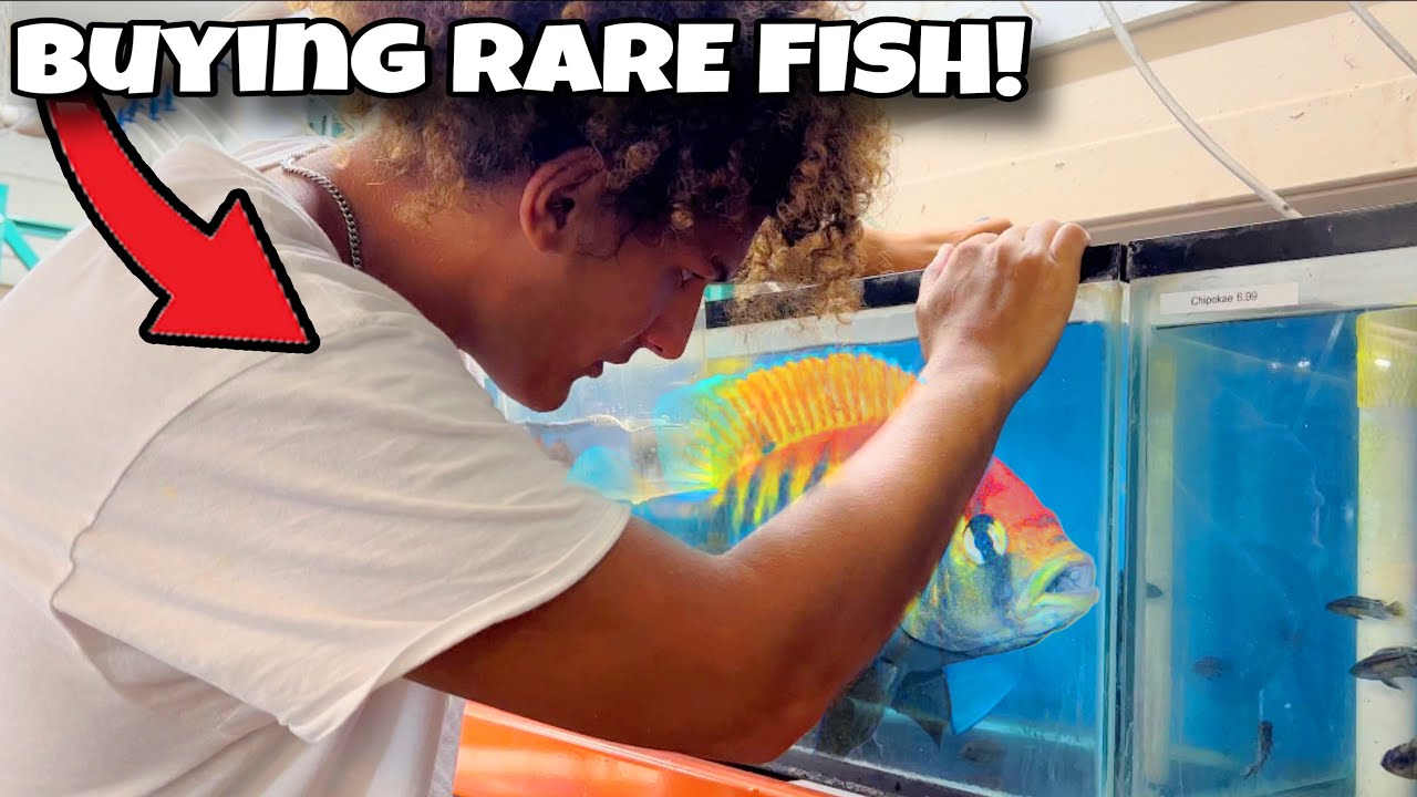 I Bought NEW FISH For My FISH FARM! - Bass fishing Productions | Bass ...