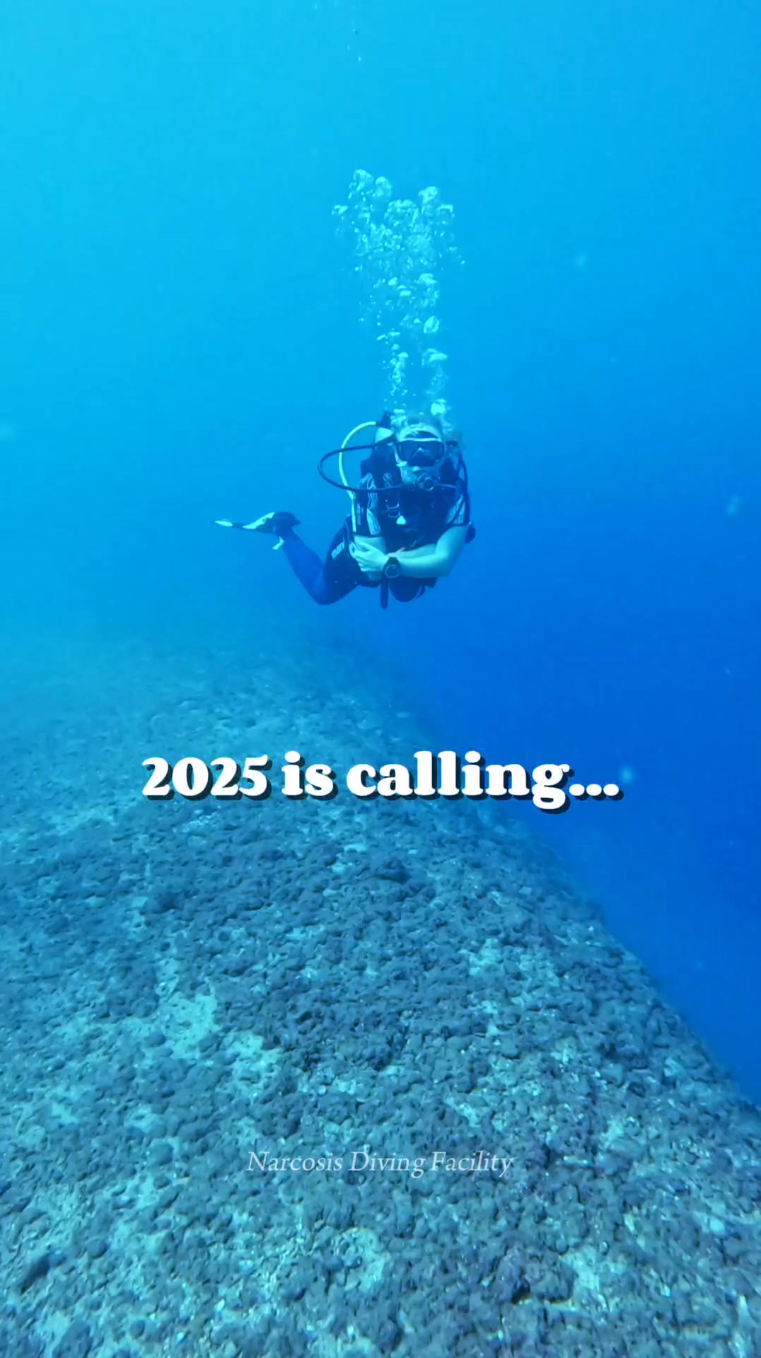 Alice B Wreck @narcosis_diving_facility #ship #wreckdiving #wreck # ...