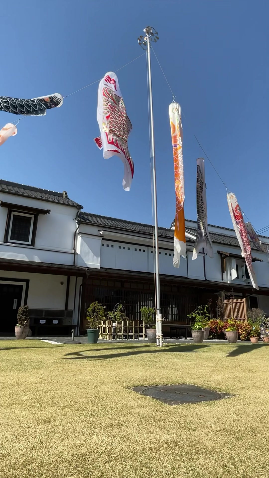🐣〜ひなちゃん《ゆるキャラ®︎トレカ》 を配布中！🐣 従来イベント等