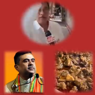 পাতিহাঁস - 𝙿𝚊𝚝𝚒 𝙷𝚊𝚜𝚑