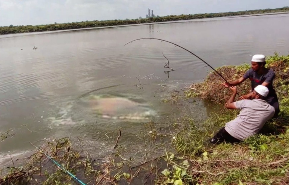 Omg! Unbelievable Fishing Catch Two Big Monster in River Side #fish # ...