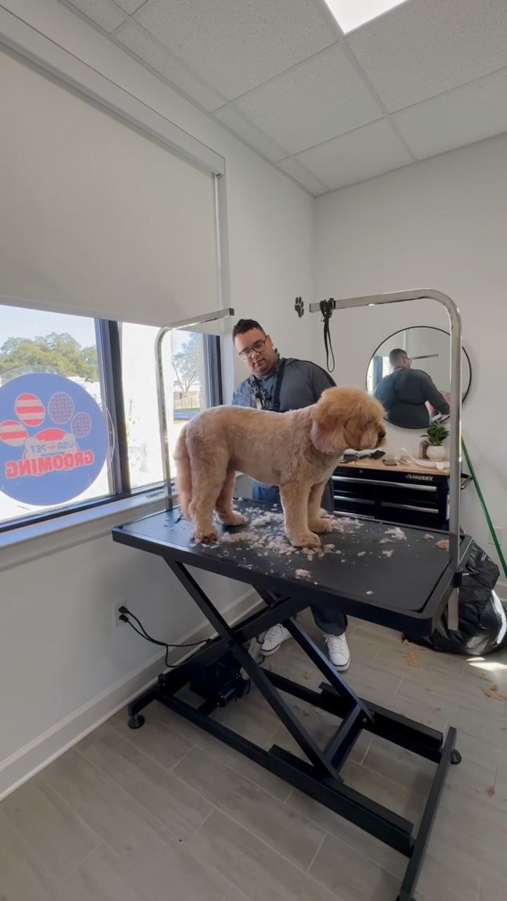 Visual Reference: Usa Pet Grooming Salon Katy
