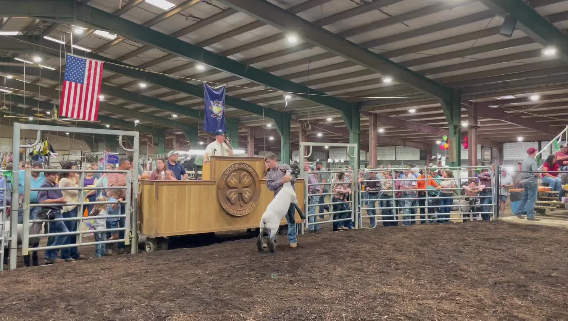 Greene County Fair - Home