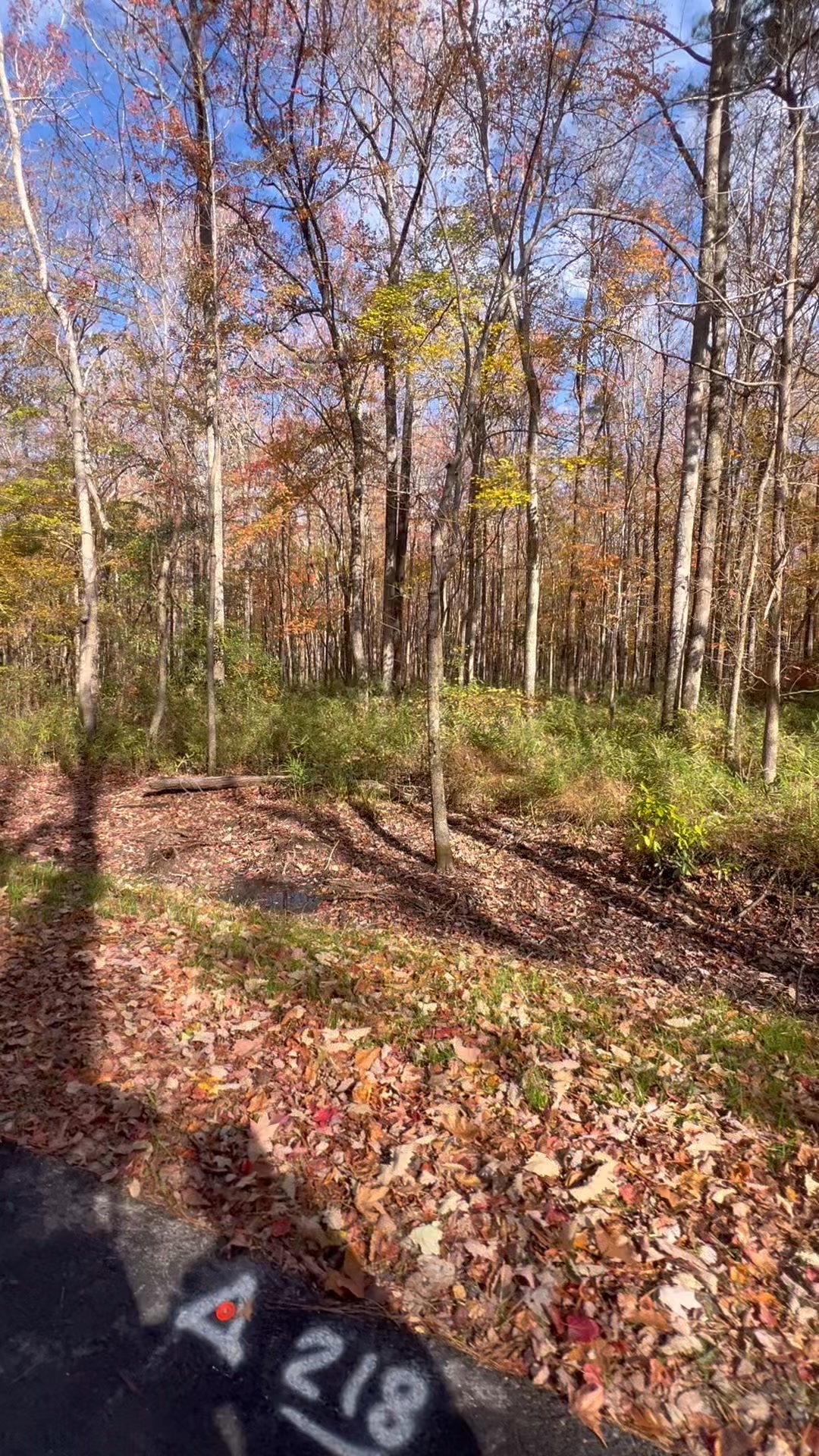 ATAC Ride - 5 miles in Marshview park, on the Norfolk Avenue Trail, and ...