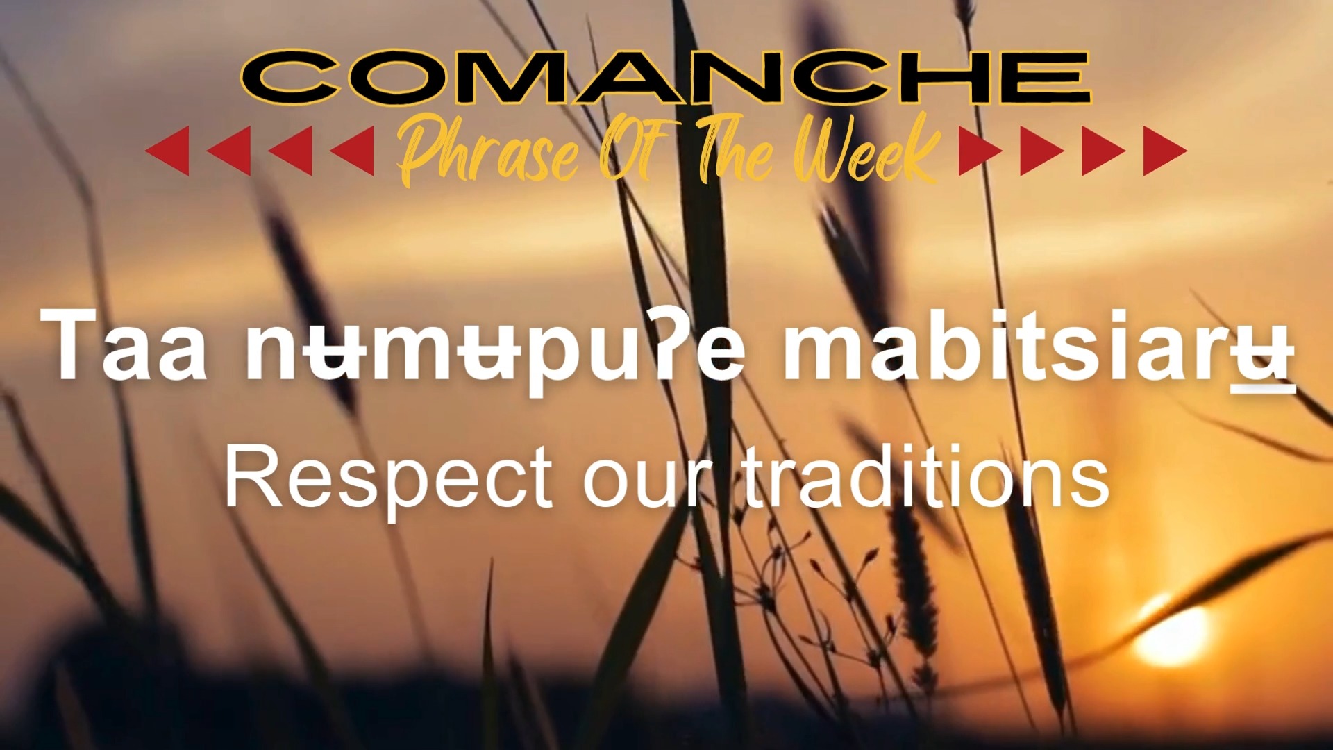Comanche Phrase of the Week: Taa nʉmʉpuʔe mabitsiarʉ̠ - Respect our ...