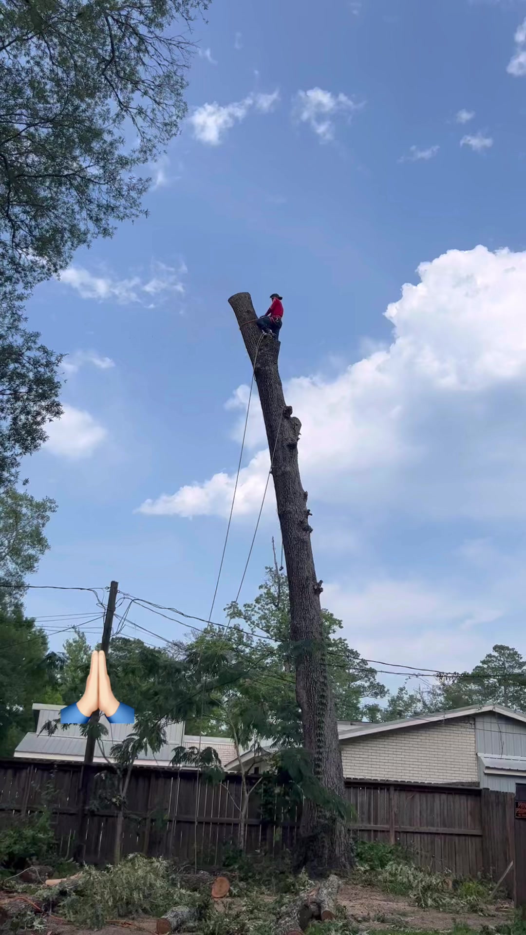 Henry’s Tree Services on Reels | Facebook