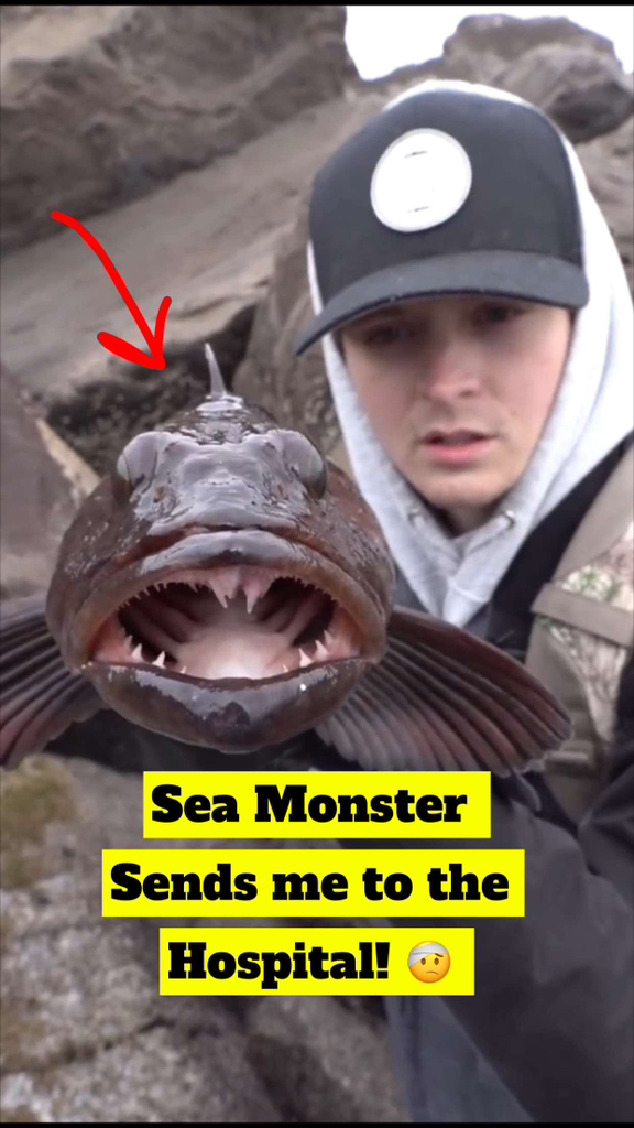 You Will Not Believe How Vicious Lingcod Are‼️😱 These dudes are ...