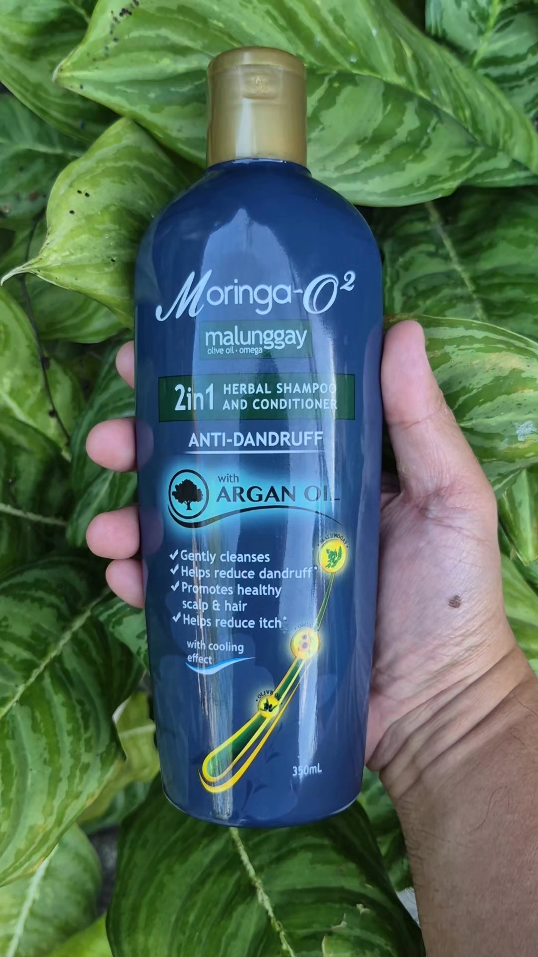 Stay dandruff-free with Moringa-O2 Anti-Dandruff Shampoo. # ...