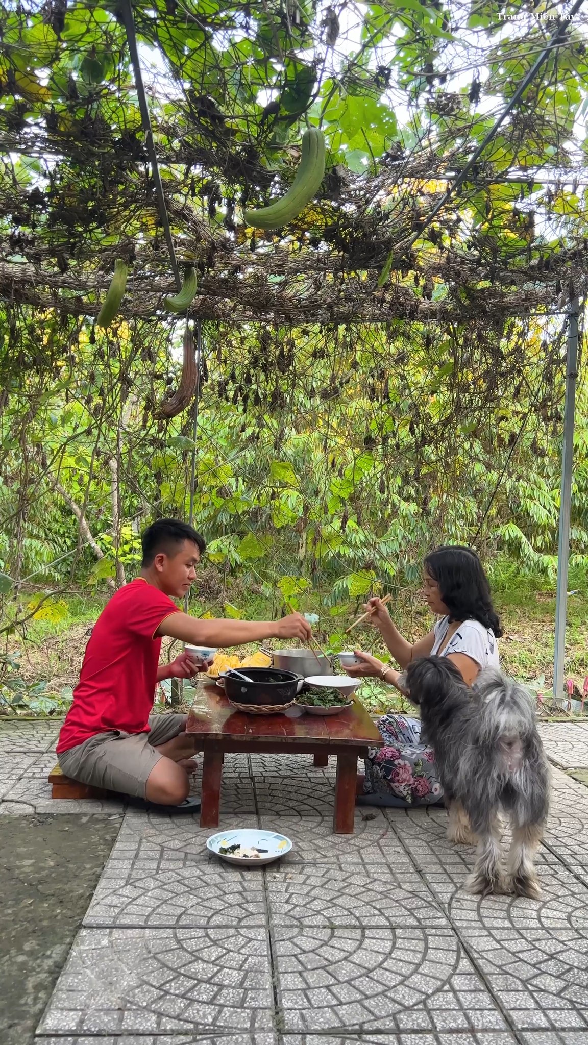 Bửa cơm quê, món nhái kho rau răm, ếch xào lá cách #trangmientay # ...