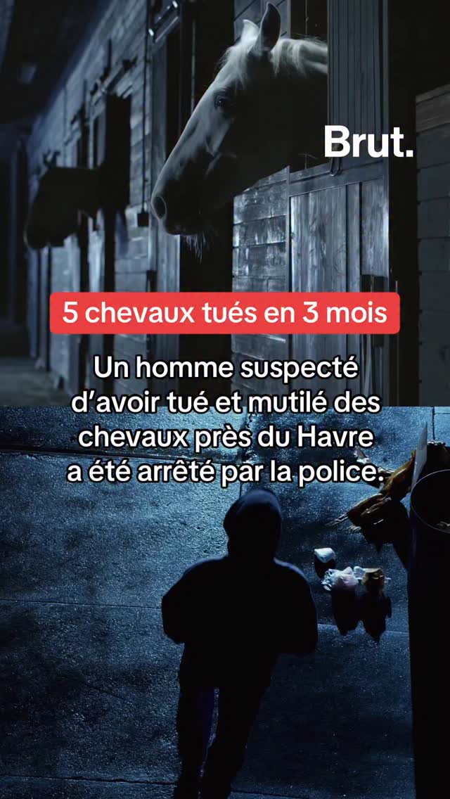 Voici ce que l’on sait sur l’homme suspecté d’avoir tué et mutilé des ...