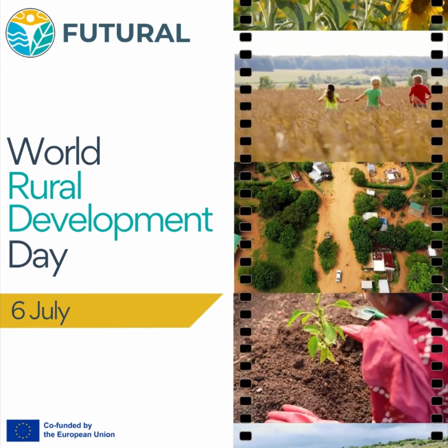 🌱 𝗬𝗲𝘀𝘁𝗲𝗿𝗱𝗮𝘆 𝗺𝗮𝗿𝗸𝗲𝗱 𝘁𝗵𝗲 𝟭𝘀𝘁 𝗲𝘃𝗲𝗿 𝗨𝗻𝗶𝘁𝗲𝗱 𝗡𝗮𝘁𝗶𝗼𝗻𝘀 # ...
