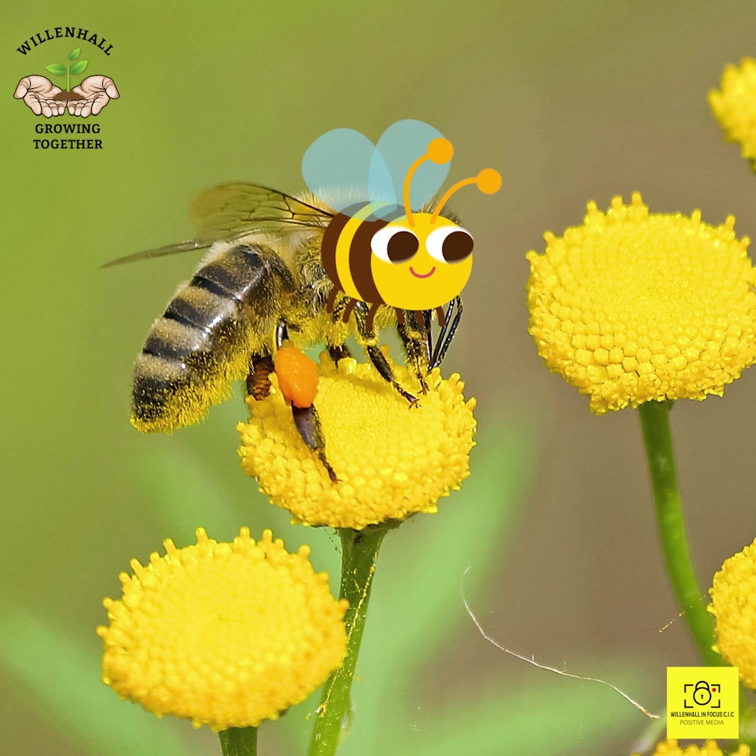 🐝Today is World Bee Day!🐝 Bees might be small, but their impact is huge ...