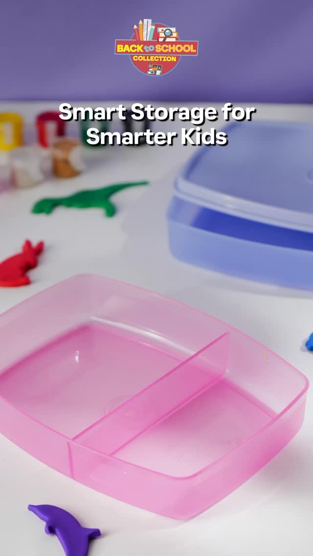 Say hello to quick, balanced lunches with the Tupperware Small Slim Lunch Box, perfectly designed for schoolbags, handbags, or briefcases., 🧡 Two compartments = a sandwich + a side, 🌯 Pack poha,