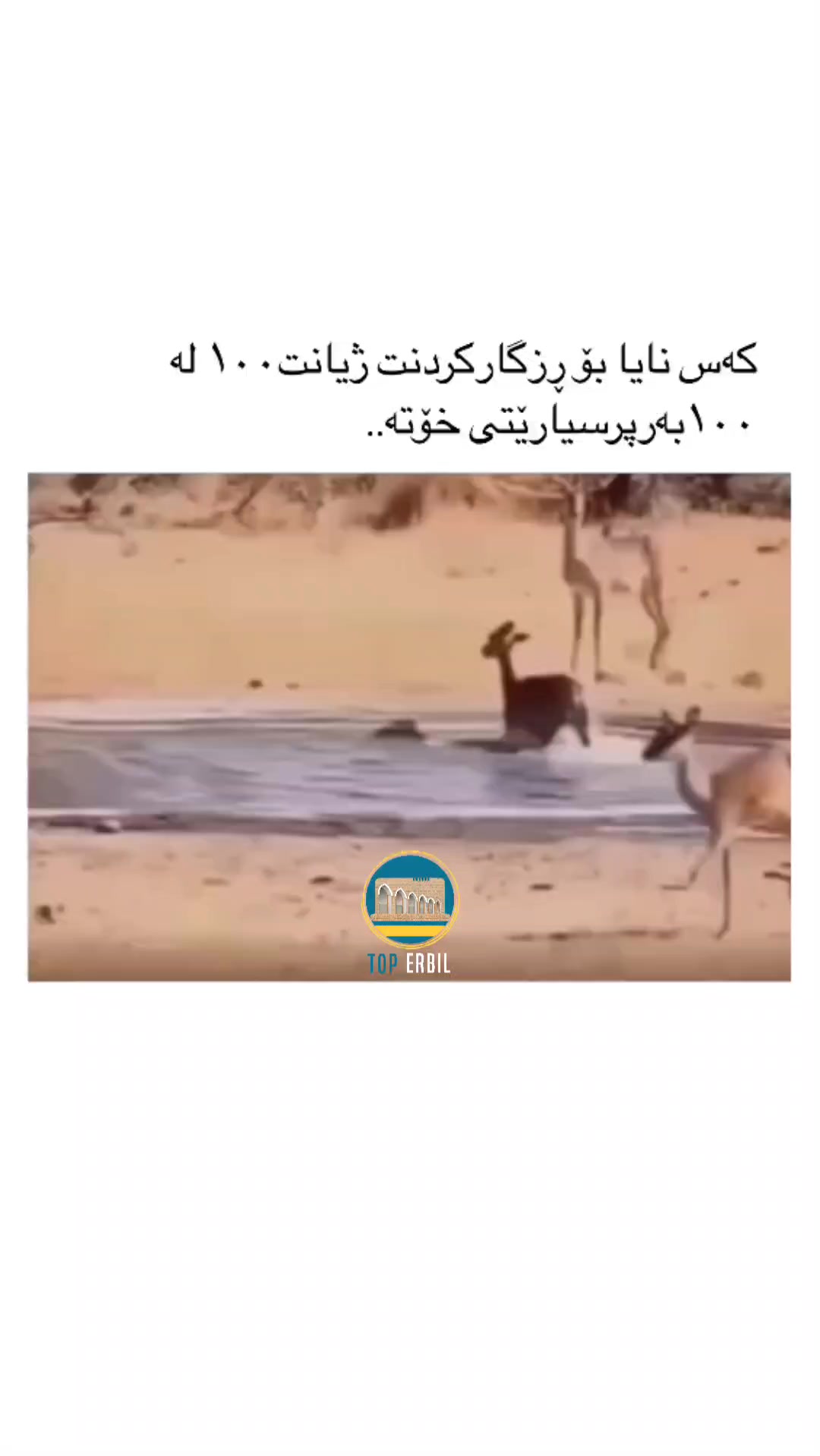کەس نایێت بۆ ڕزگار کردنت | Top Erbil Magazine | Facebook