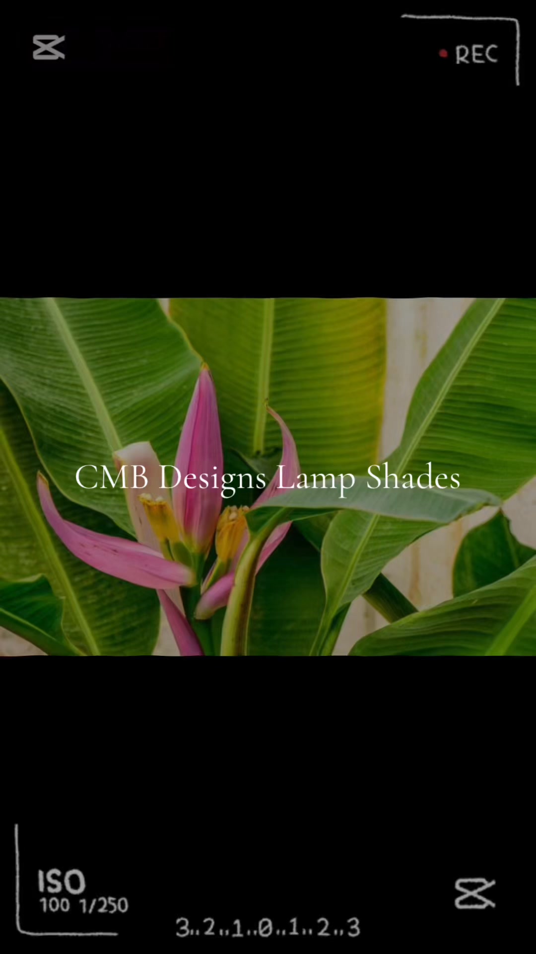 CMB Designs Lampshades & Lamps | Diego Martin
