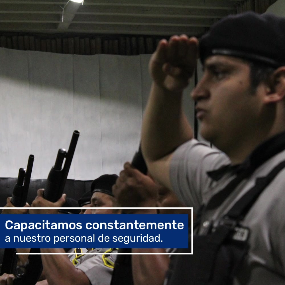 SION Seguridad - Home