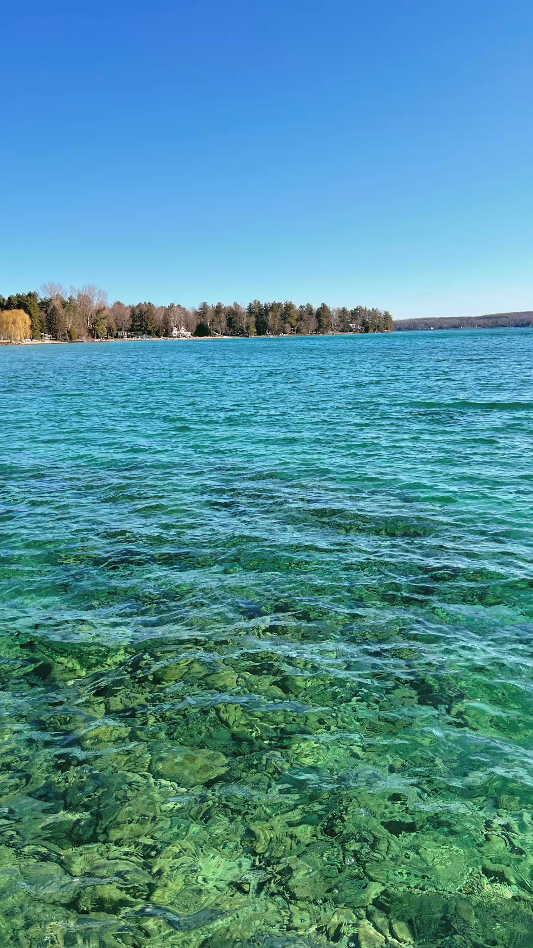 Torch Lake is pure magic . With its crystal-clear turquoise waters and ...