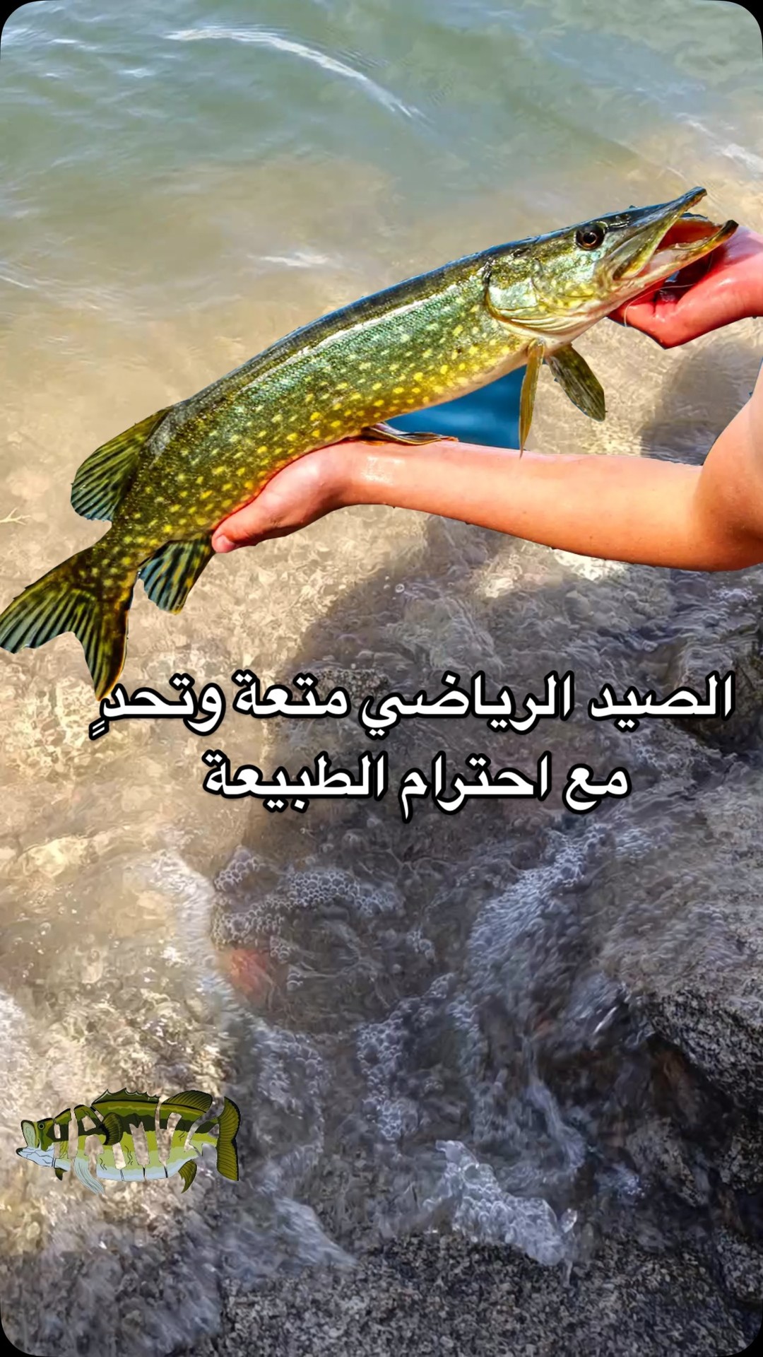 الصيد المسؤول هو التزام بالحفاظ على التوازن البيئي من خلال احترام ...