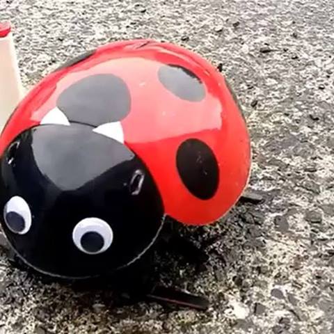 DIY 2.4G RC ladybug with functions of escape demo etc. | By New ...