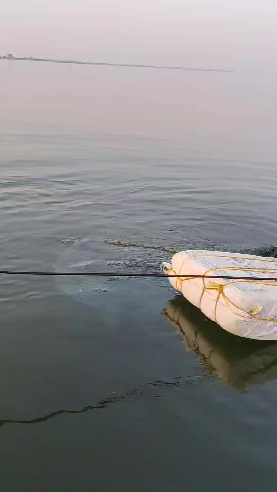 dechapanich fishing net factory ltd Frabill Bait dealer 12x10in. 26in. Handle 3528, Premium Landing Net, Multi, One Size,Black and Grey 3-layer Prawn Net,Mallas Para Pesca,Multimono