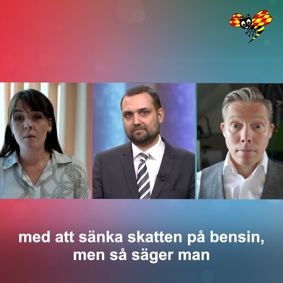 linn-svansbo-v-nsterdebatt-r-och-medlem-i-s-f-reningen-reformisterna