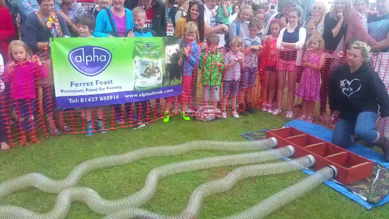 Fuzz Fest Ferret Racing Team | Runcorn