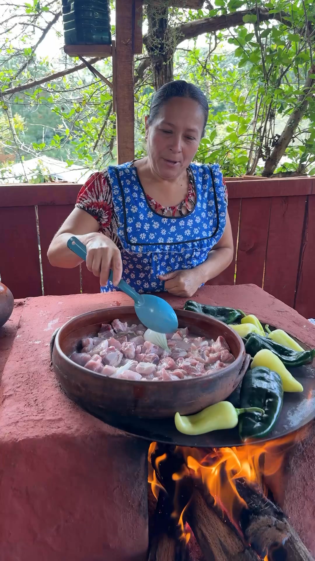 Carne de Puerco Estilo Ranchero como mi Abuela #receta #cocina # ...
