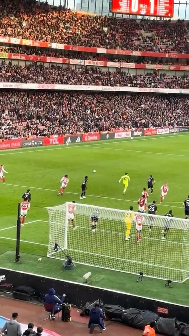DAVID RAYA RUN FROM THE STANDS 🤣 Arsenal may have lost, but at least ...
