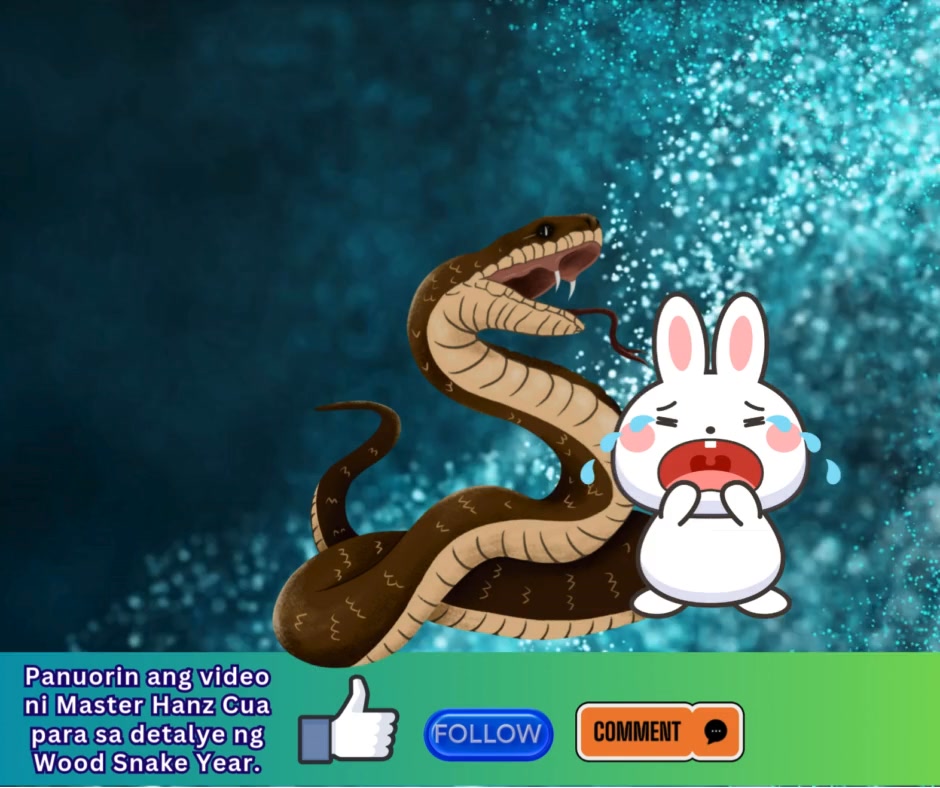 Rabbit and Snake Compatibility 🐍🐇 | Master Hanz Cua Feng Shui Master
