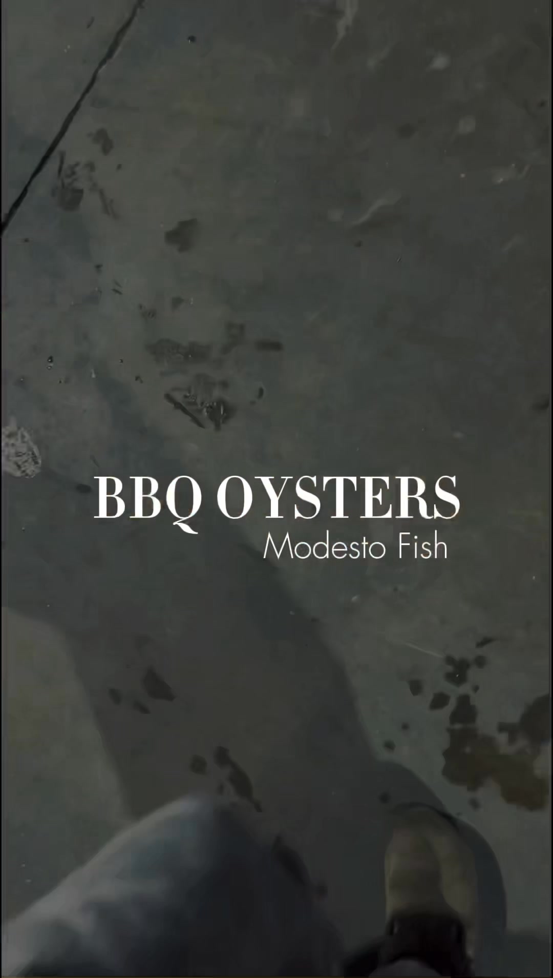 Modesto Fish Company | Denair CA