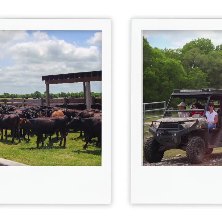 R-C Ranch Texas Craft Butchers - Home