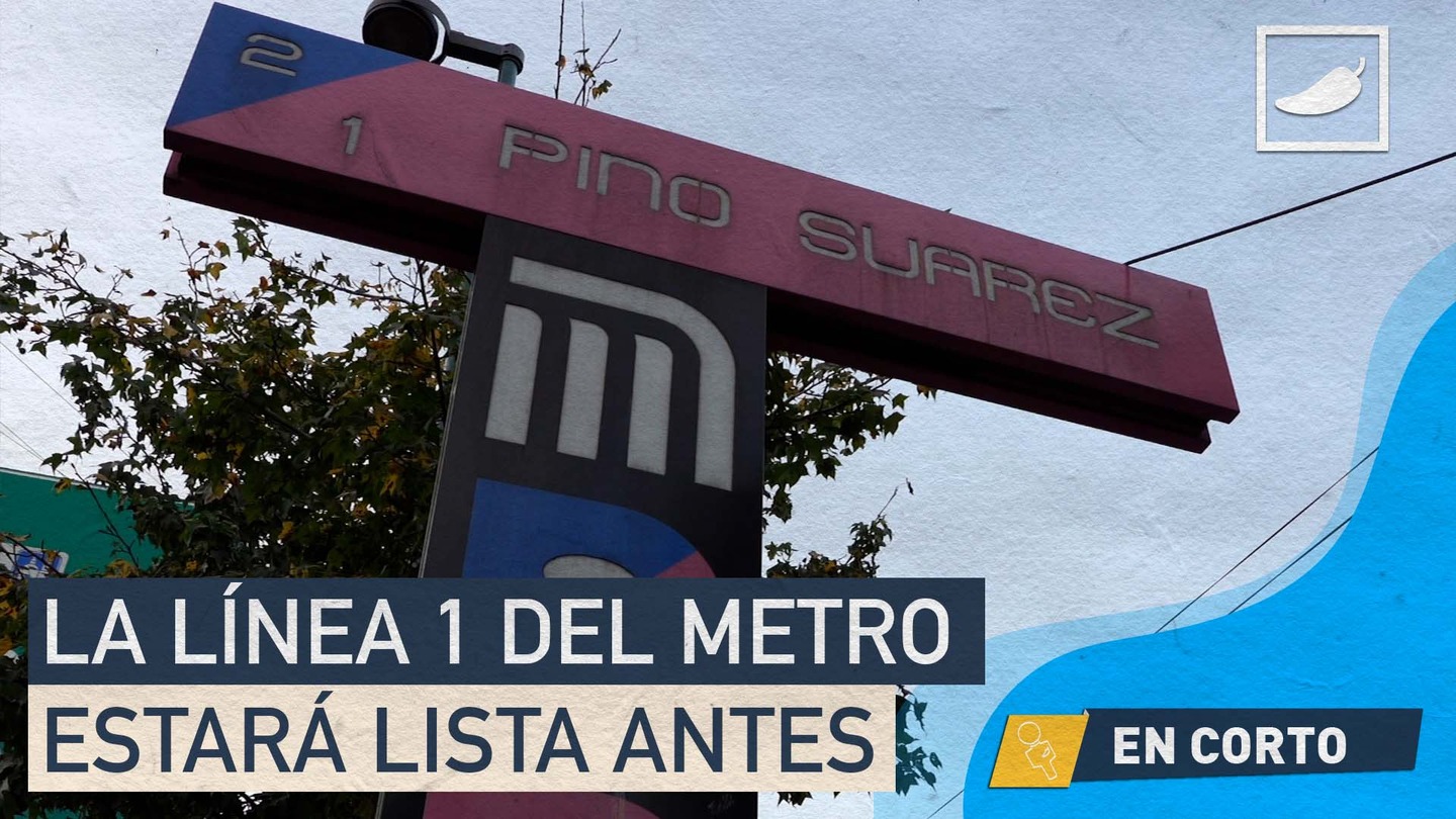 La Línea 1 del Metro estará lista antes | ¿Y esta flor? 🚇 Si ya te ...