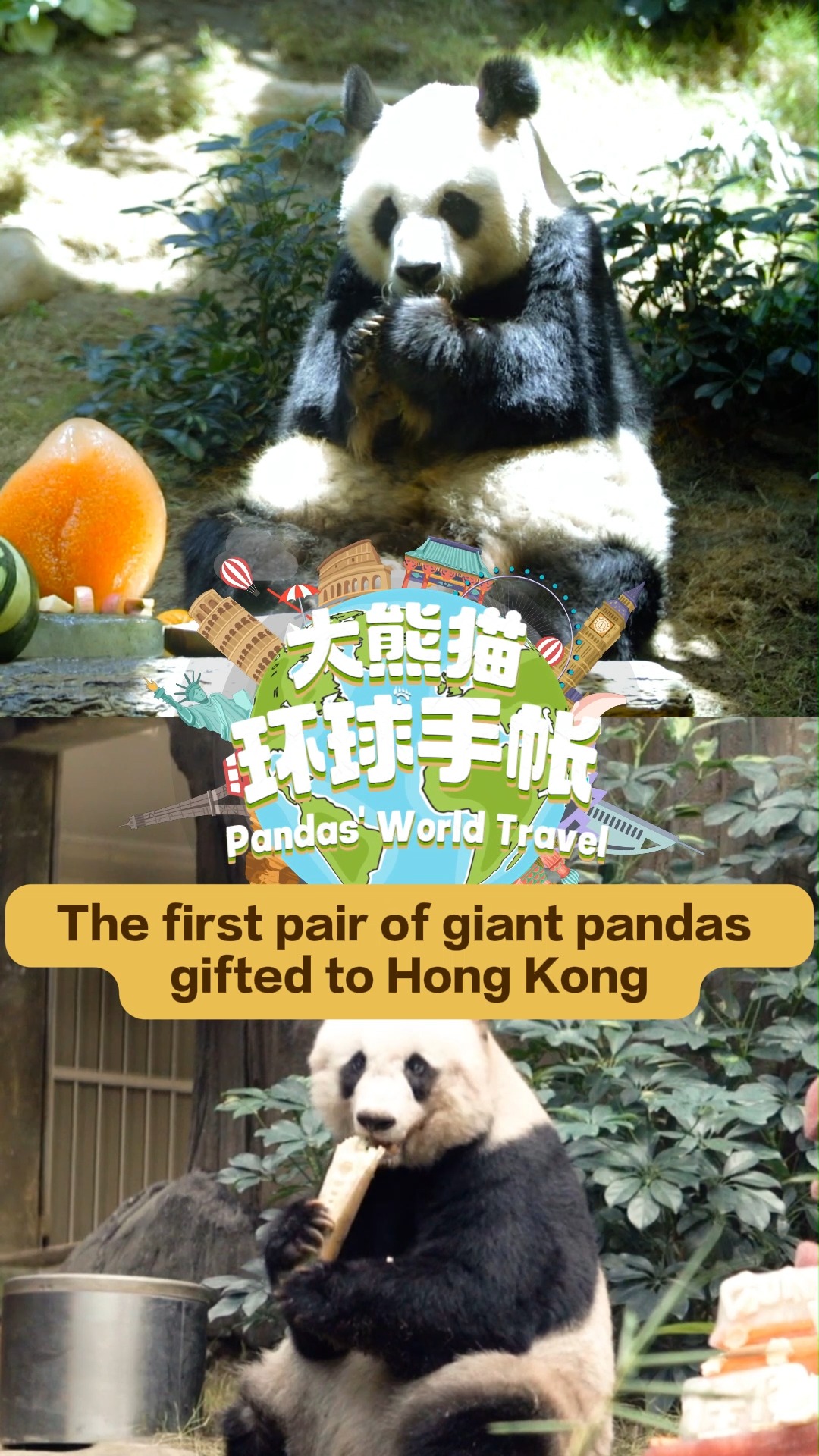 Prophila Collection - Bloc Hong Kong 1999 - Pandas Géants - Bloc N°62 - Neuf MNH - Timbre Pour Collectionneurs - Qualité Supérieure