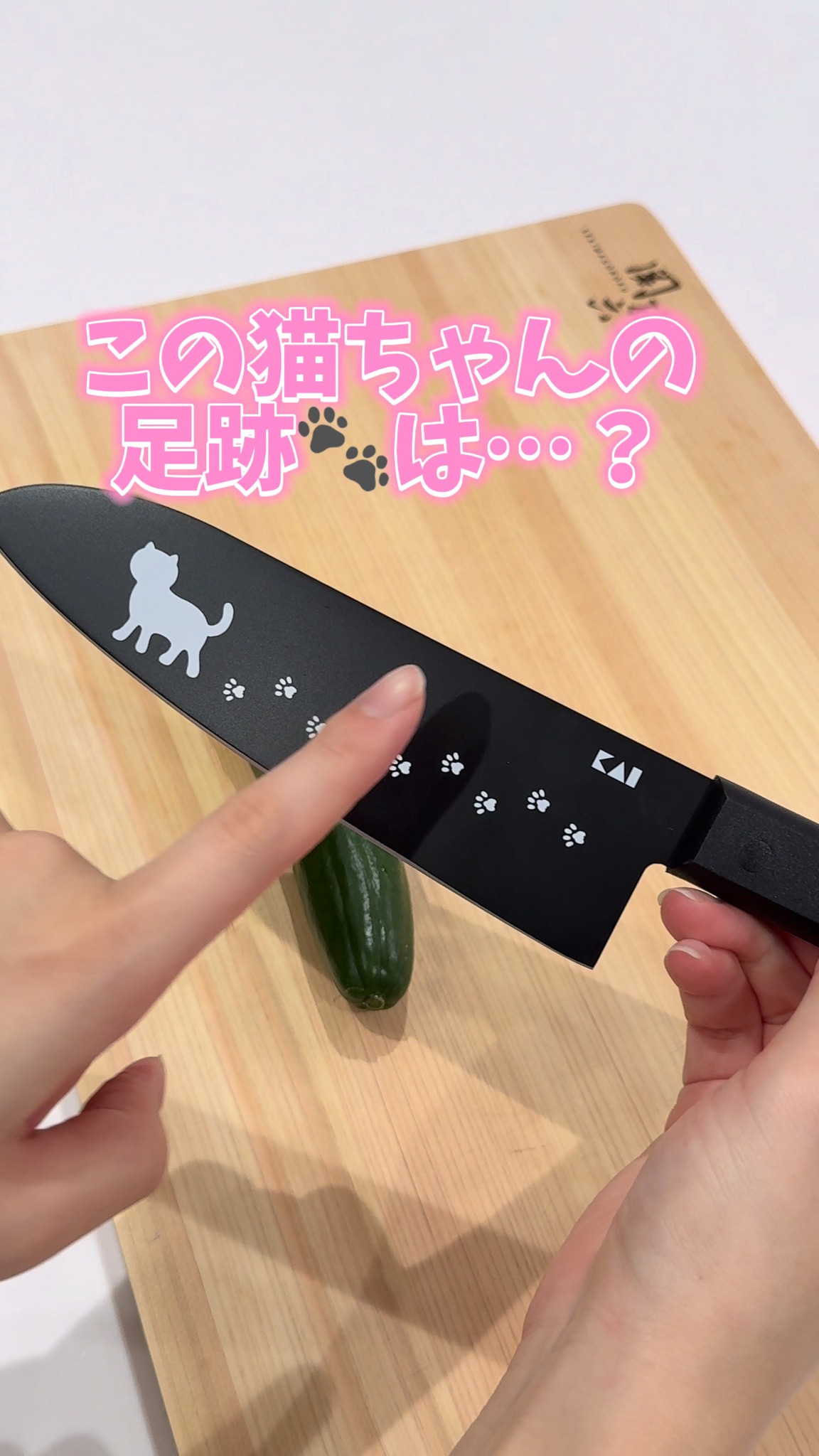 包丁 猫 の 手 イラスト