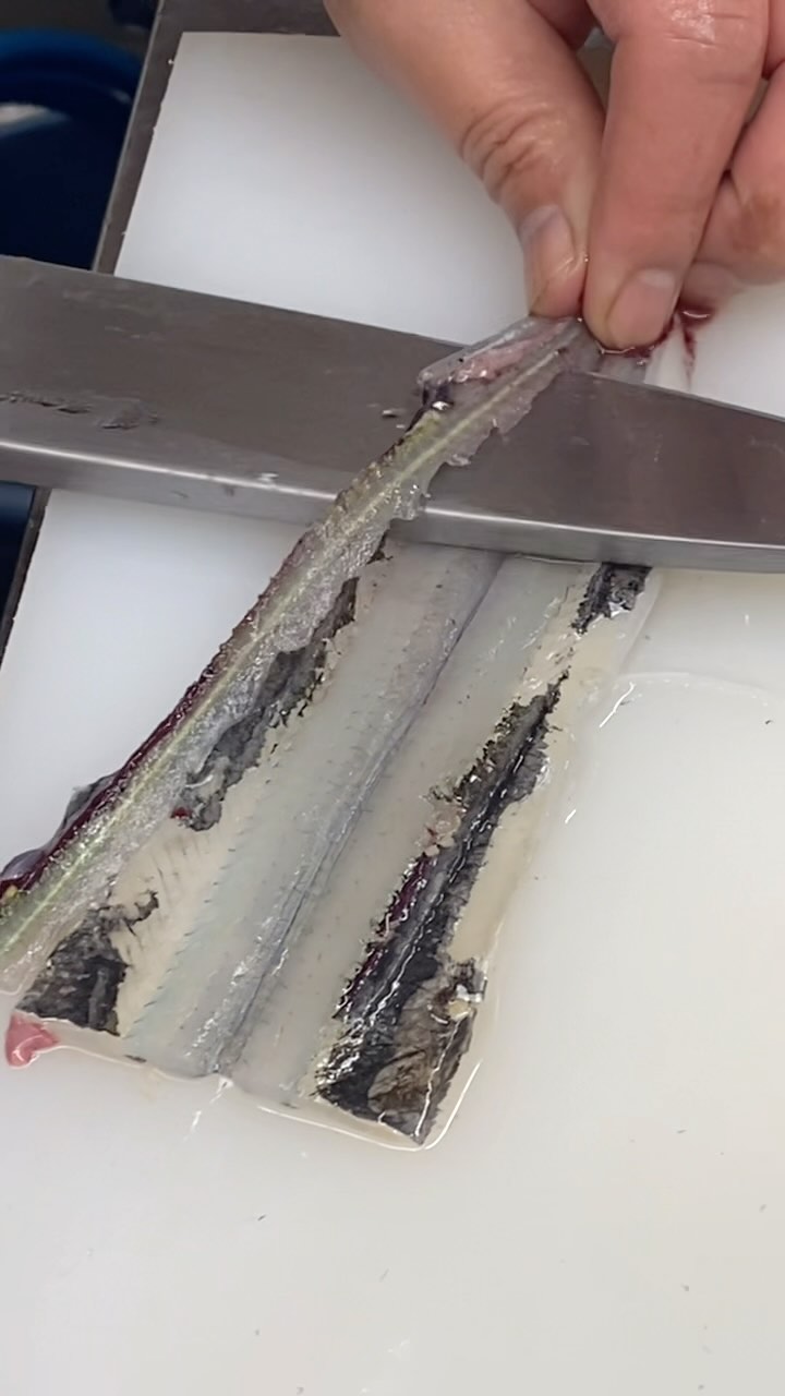 いつも有難う御座います。 福喜鮨で御座います。 前回大好評をいただいた光物をおろすシリーズです。 まず第二弾は「サヨリ」で御座います。 先日 ...