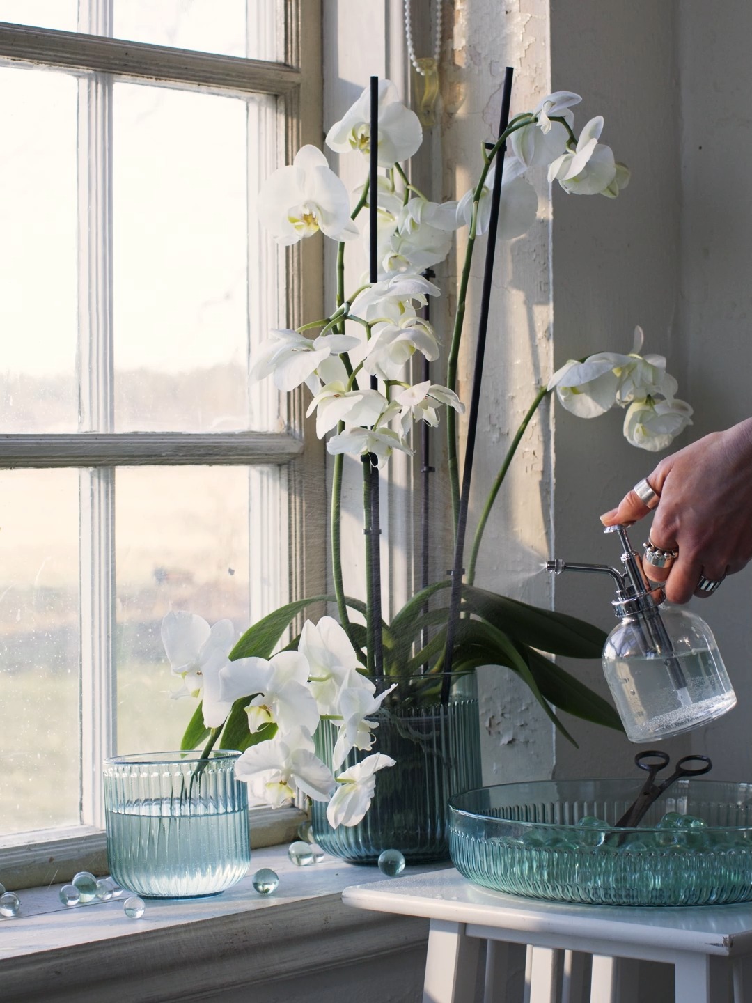 Sensitive orchids meet GRADVIS: this plant pot lets the light in so they can grow and bloom freely. Shop online on www.IKEA.in or IKEA app, or visit the IKEA stores in Mumbai, Bengaluru or Hyderabad: