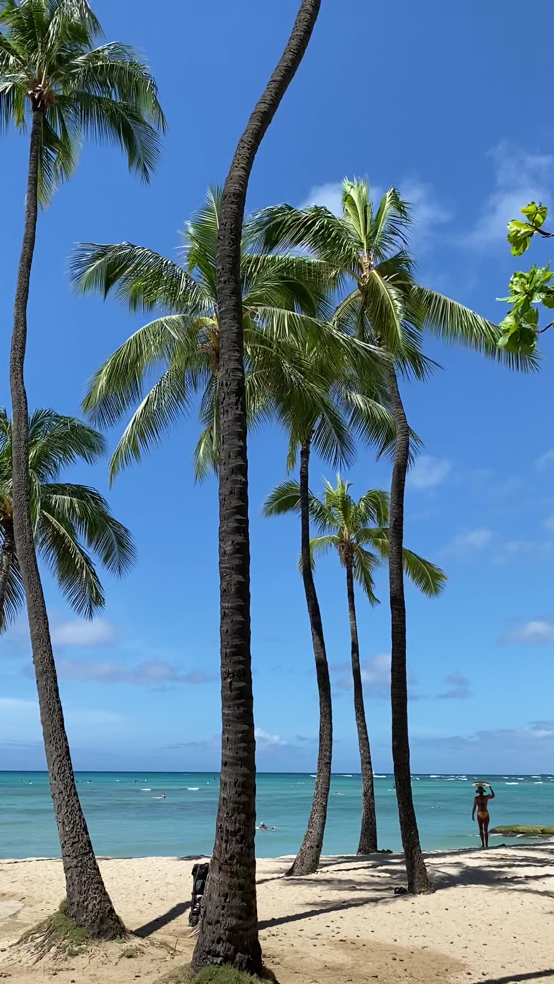 ハワイラバーズ Hawaii Lovers - Islands Journey | Honolulu HI