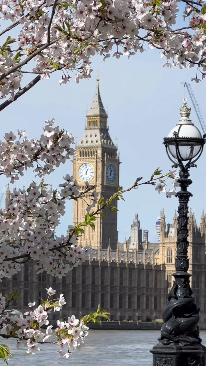 Spring in London 🌸 ️ #spring #springtime #springinlondon #london # ...